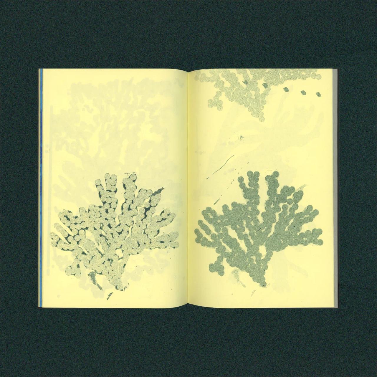 Handmade Rebellion reference — In Search of the Opposite
