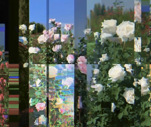 Nature As Interface reference — In Search of the Opposite