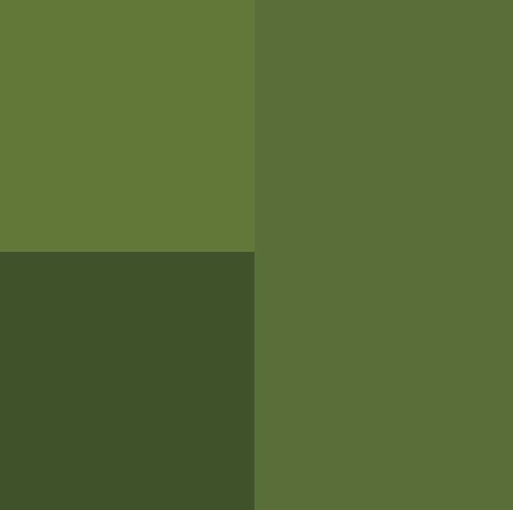Paleta Texturas — Portable Solitude reference — Go Nature Shopping