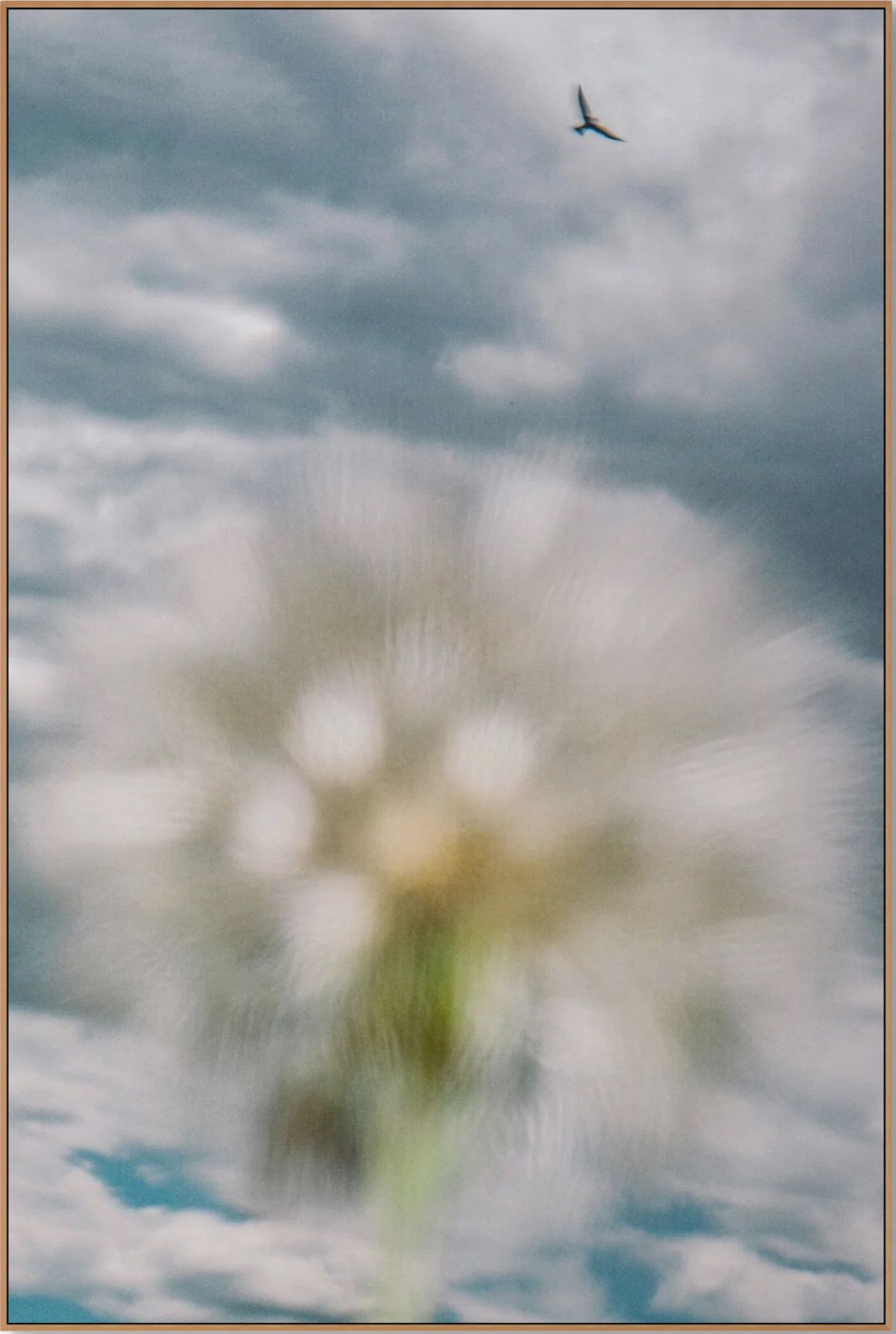Fotografia Diseno — Collecting Horizons reference — Go Nature Shopping