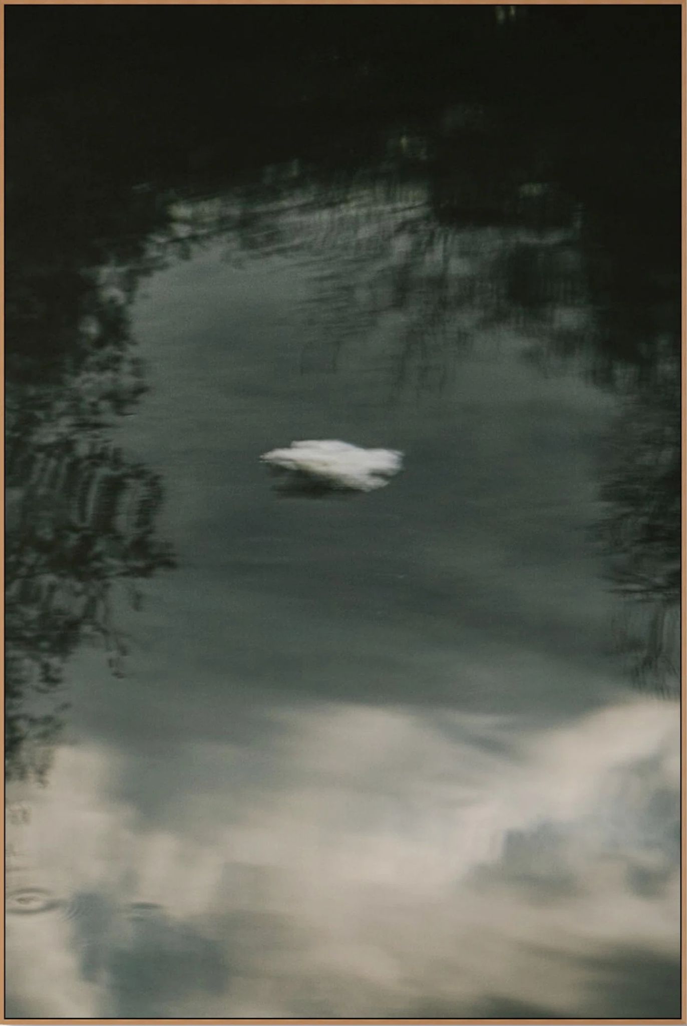 Fotografia Diseno — Collecting Horizons reference — Go Nature Shopping