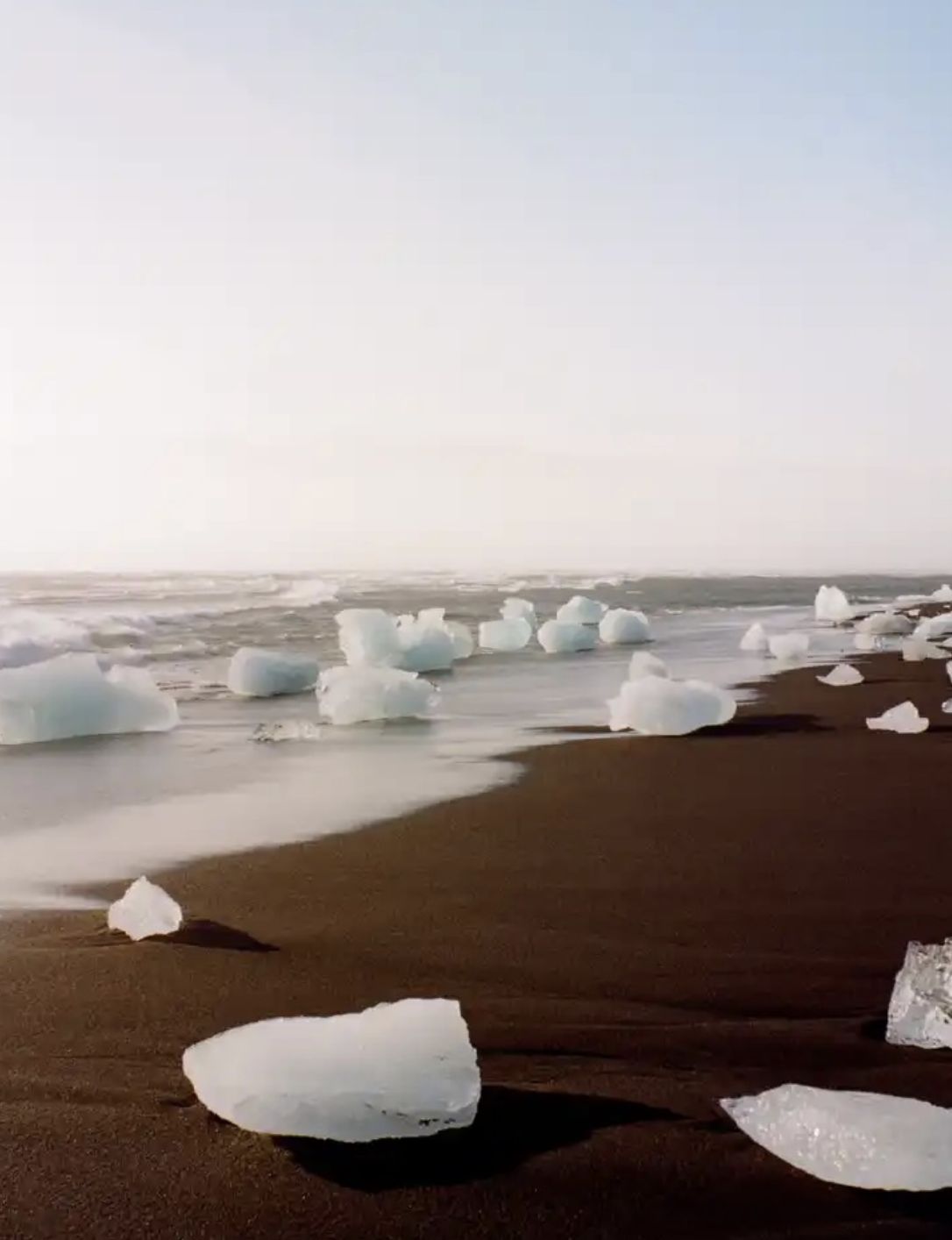 Fotografia Diseno — Collecting Horizons reference — Go Nature Shopping
