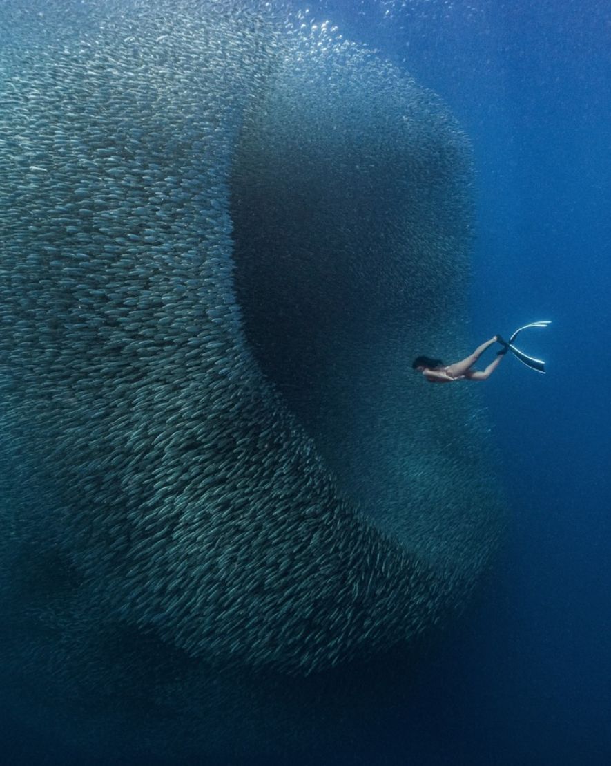 Fotografia Diseno — Look For Immensity Human Scale reference — Go Nature Shopping