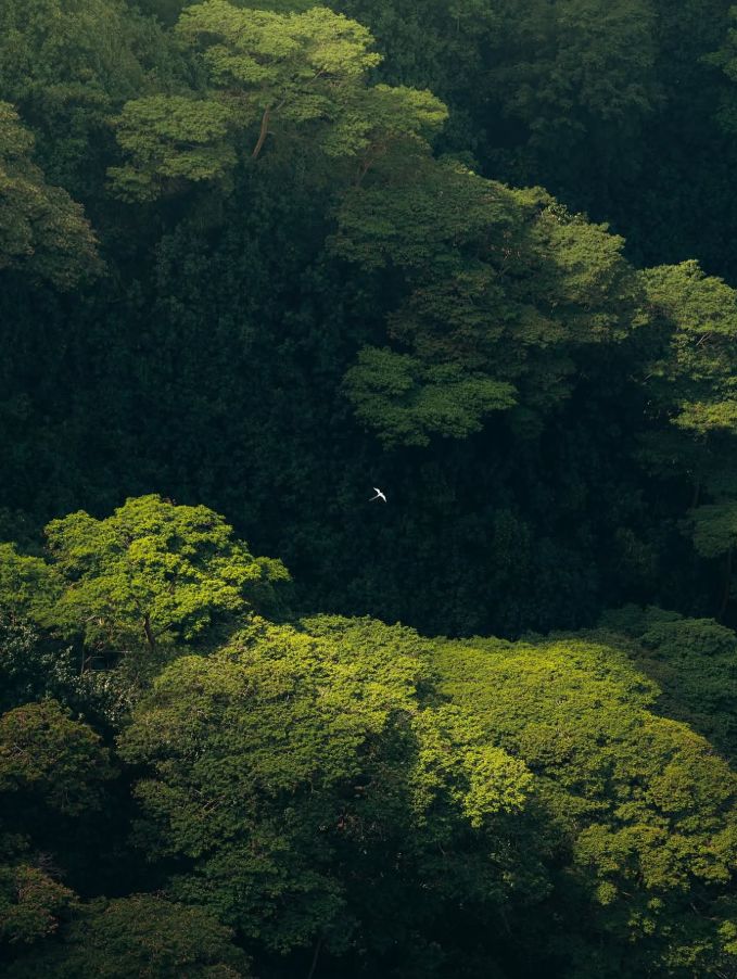 Fotografia Diseno — Look For Immensity Human Scale reference — Go Nature Shopping